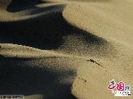 На западе Китая есть дюны, песок которых затвердел, и они стали горами. Поэтому их называют горами Миншашань (горы со звучащим песком)
