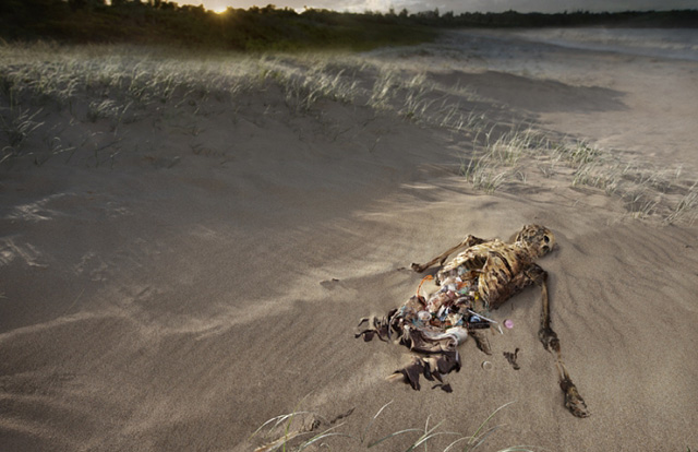 Лучшая реклама на «International photography awards 2011» 