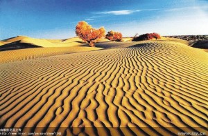 Оазис в пустыне – тайное село Далиябуи 1
