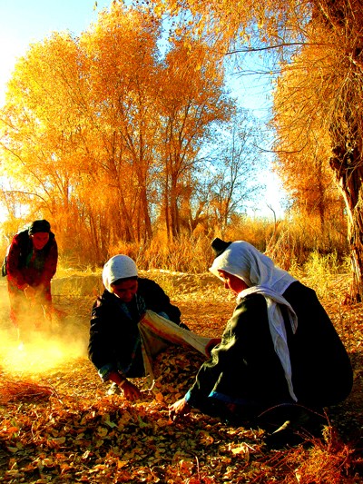 Оазис в пустыне – тайное село Далиябуи 6