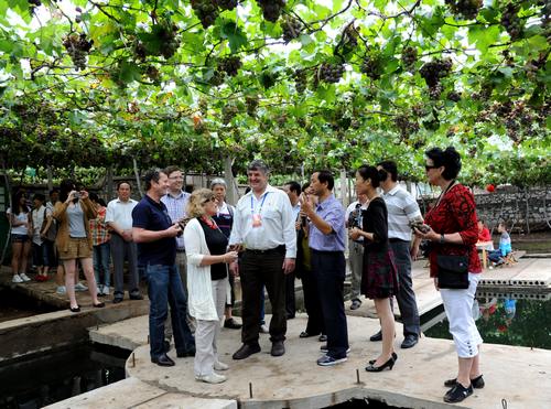 Виноград города Цзаочжуан удивил гостей из Австралии