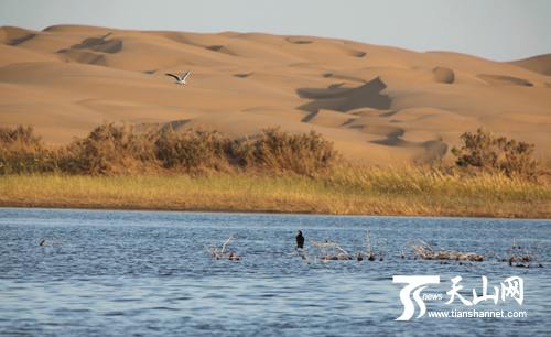 Четыре прекрасные пустыни КНР Четыре прекрасные пустыни КНР
