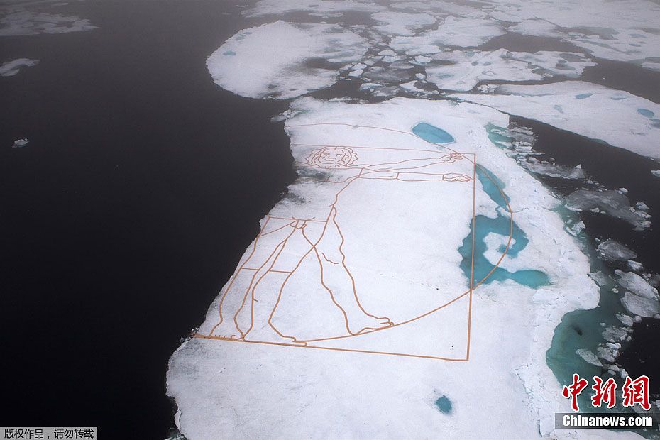 Рисунок в Арктике - призыв к экологии