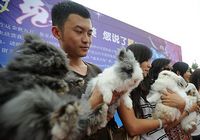 Конкурс красоты «Лунный кролик» в провинции Юньнань