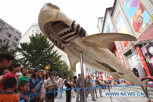 На улице города Далянь появилось чучело китовой акулы длиной 6 м2