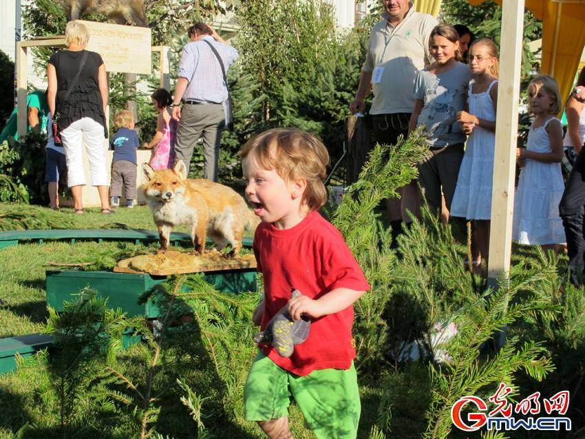 Уличные пейзажи в городе Вена