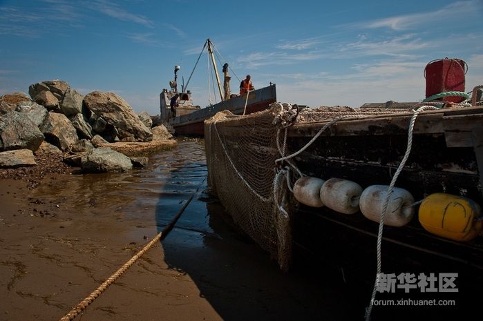 Большой рыбный урожай в России