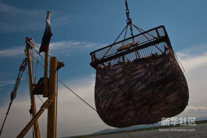 Большой рыбный урожай в России