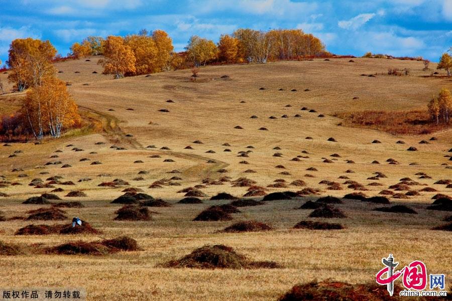 Живописная осенняя степь Башан