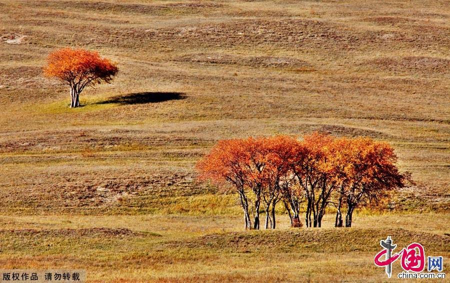 Живописная осенняя степь Башан