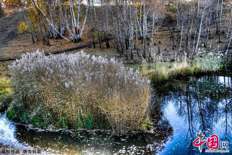 Живописная осенняя степь Башан