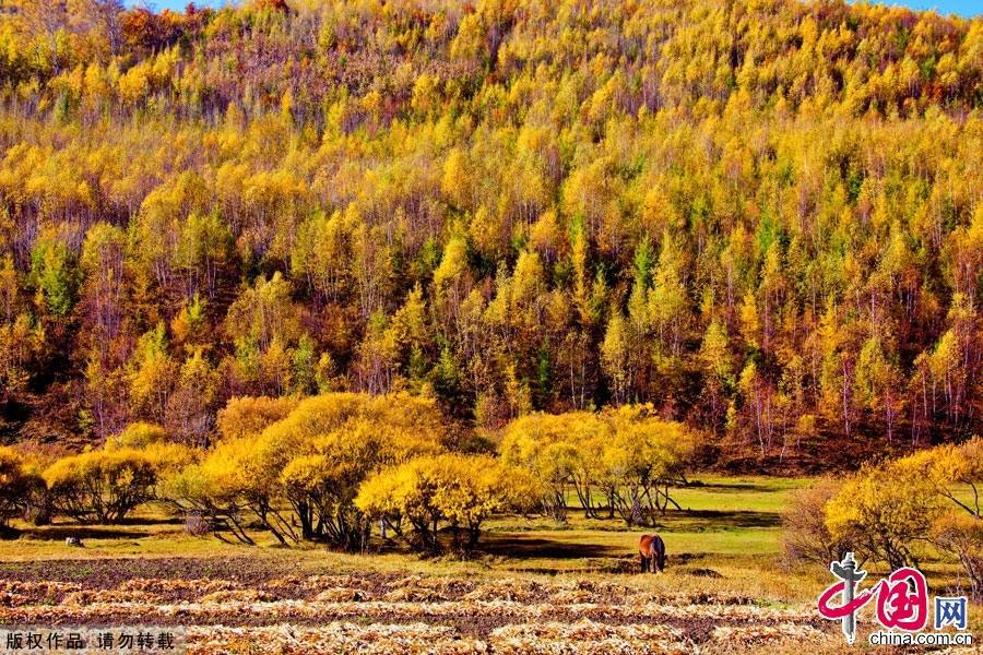 Живописная осенняя степь Башан