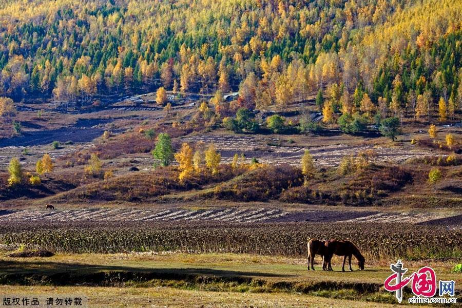 Живописная осенняя степь Башан