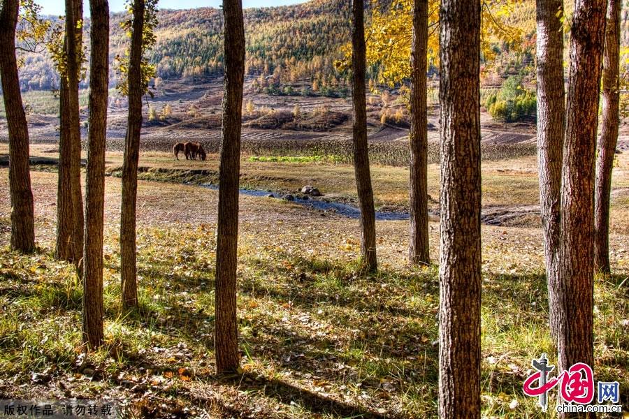 Живописная осенняя степь Башан