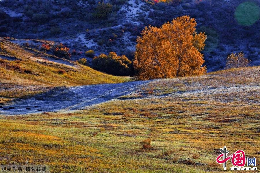 Живописная осенняя степь Башан