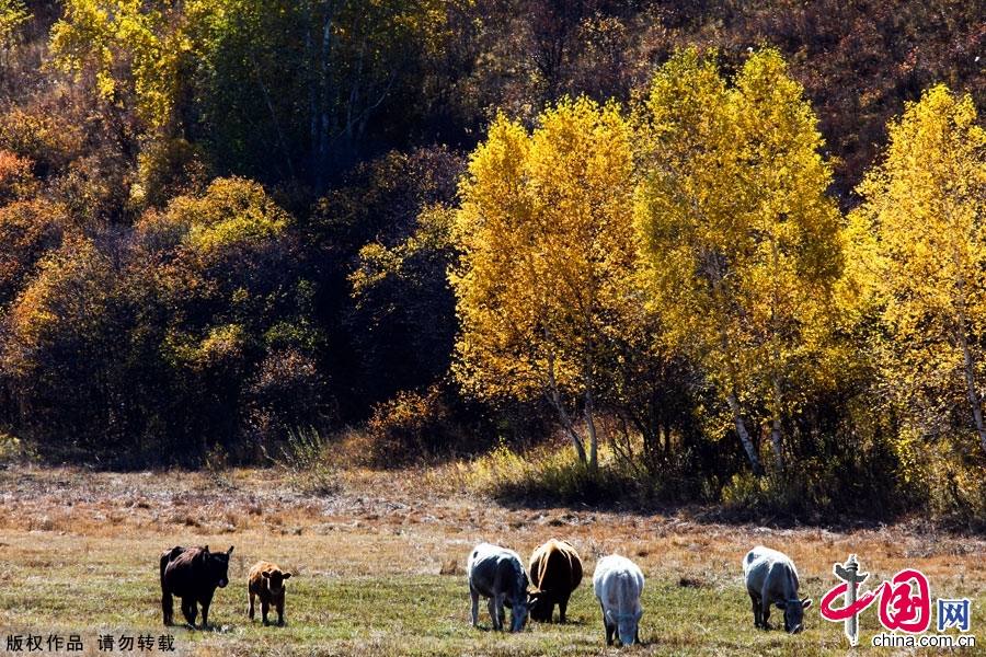 Живописная осенняя степь Башан