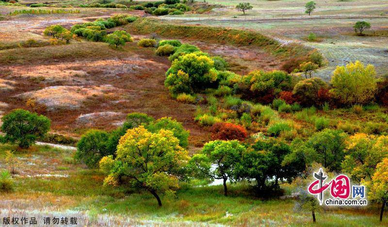 Красивые пейзажи лесного парка Сайханьба