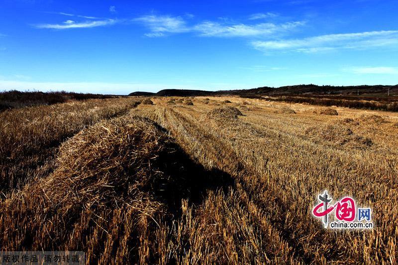 Красивые пейзажи лесного парка Сайханьба