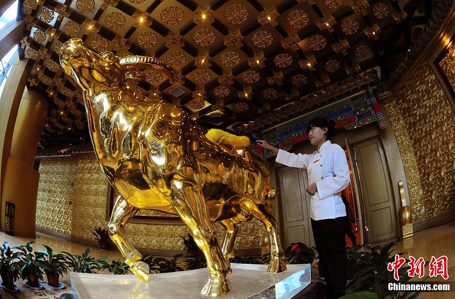 На фото: сотрудница чистит «золотого теленка» (сокровище отеля) стоимостью около 300 миллионов юаней. По словам секретаря партийного комитета деревни У Жэньбао, данный телец (весом около 1 тонны) уже подорожал на 30%.