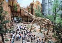 В Китае насчитывается 3020 различных музеев
