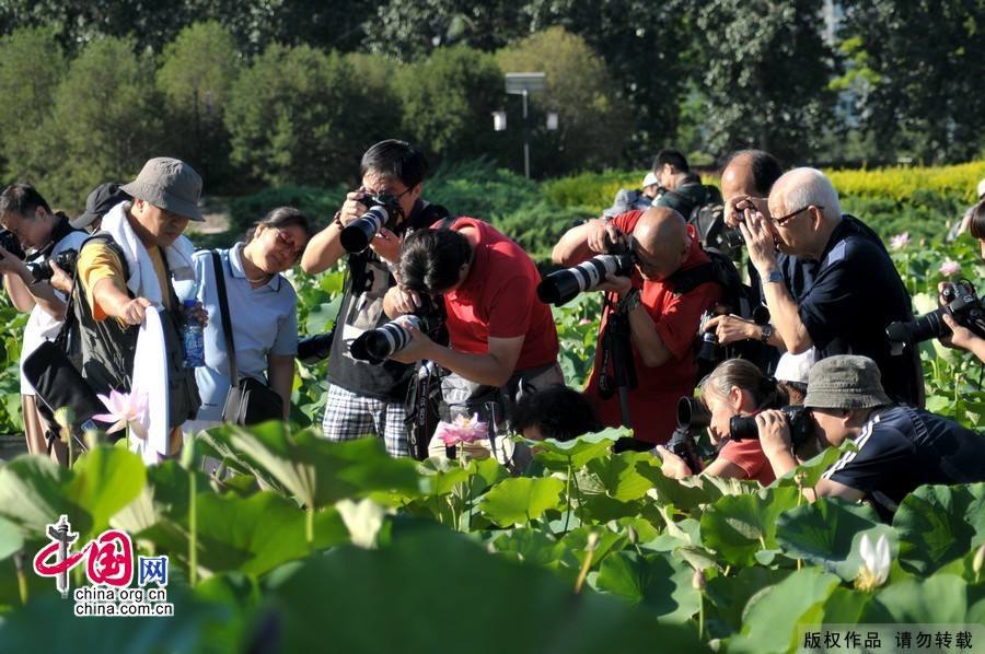 Произведения на Выставке фотографических работ Общества фотографов Управления издательства литературы на иностранных языках КНР (2)