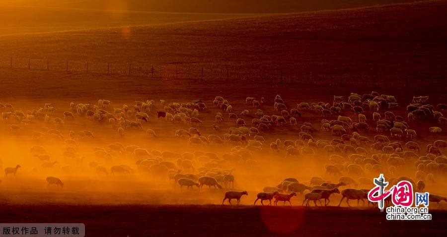 Произведения на Выставке фотографических работ Общества фотографов Управления издательства литературы на иностранных языках КНР (3)