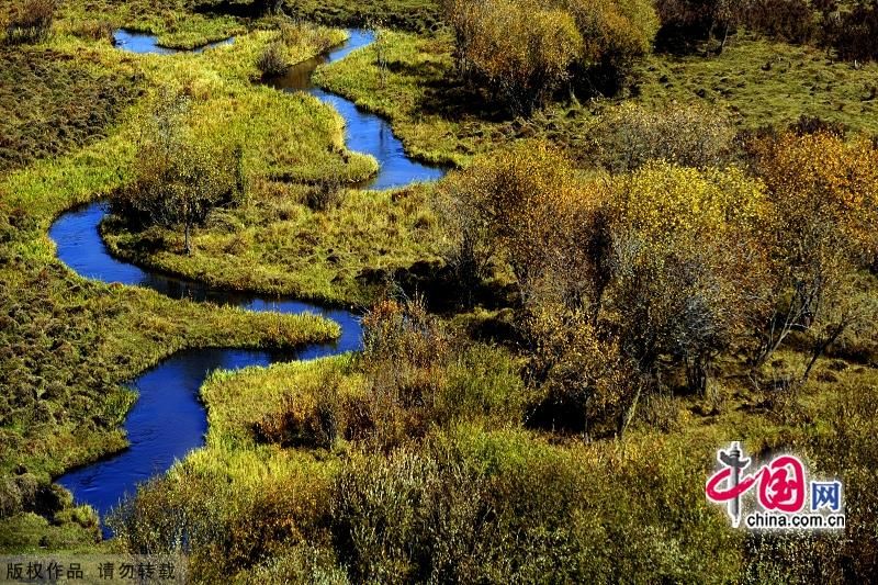 Чарующие осенние пейзажи в степи Башан