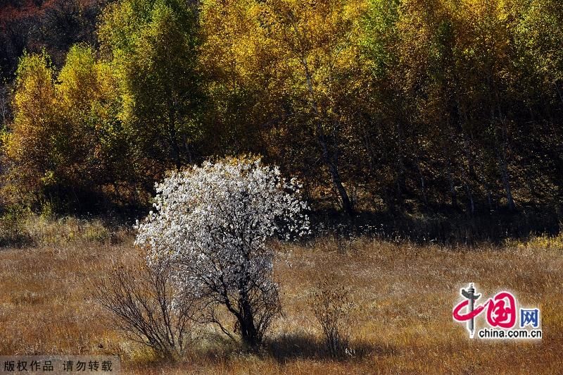 Чарующие осенние пейзажи в степи Башан