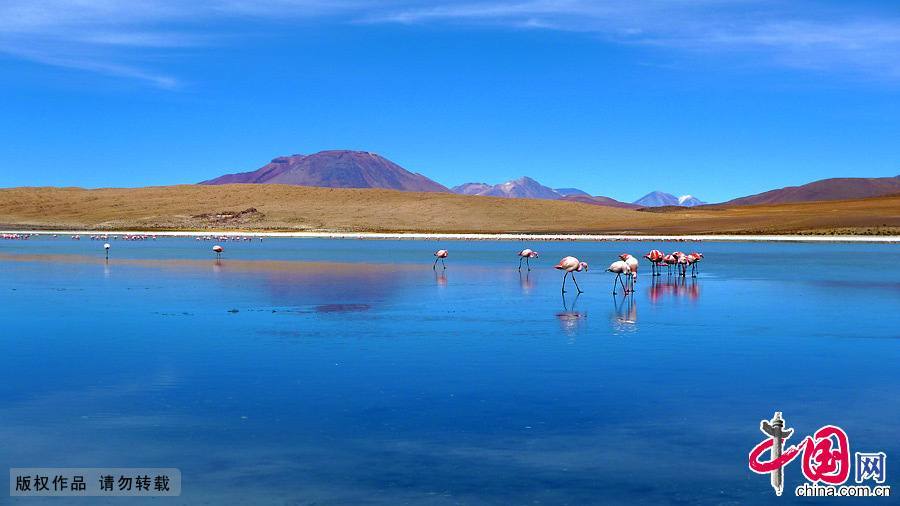 Самое большое в мире соляное озеро – Салар Де Уюни