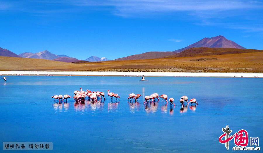 Самое большое в мире соляное озеро – Салар Де Уюни