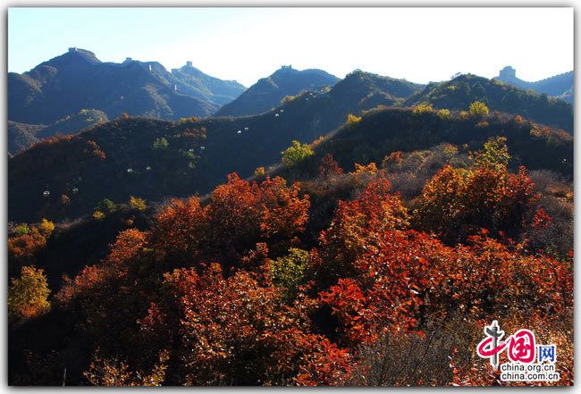 Осенние пейзажи на Великой китайской стене7