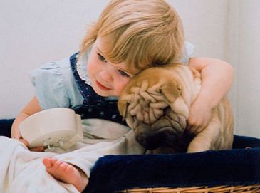 Трогательные моменты жизни детей и животных