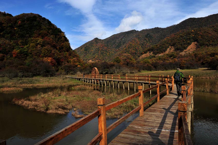 Осенняя красота в заповеднике «Шэньнунцзя»