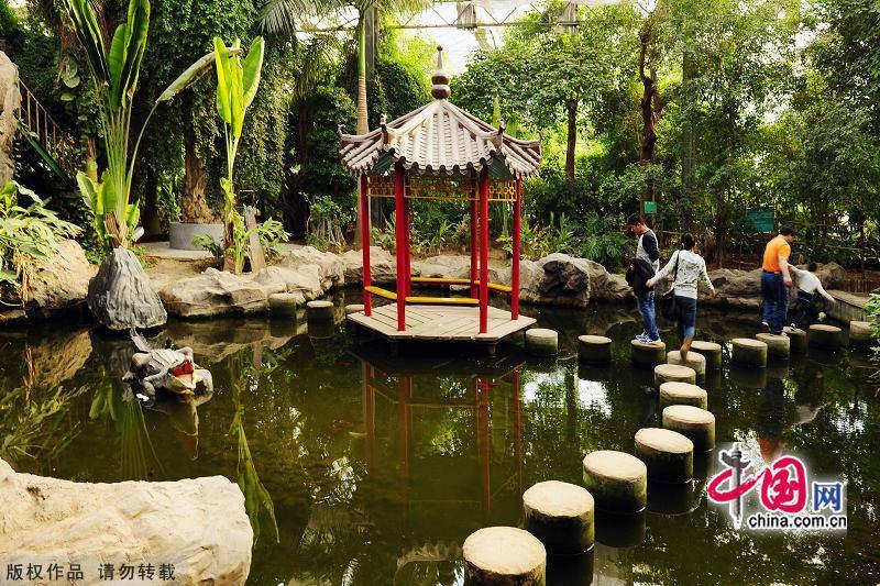 Уникальный тематический парк на севере Китая - сад тропических растений в Тяньцзине