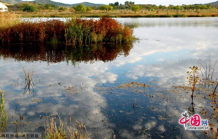 Водная красота в степи Сайханьба