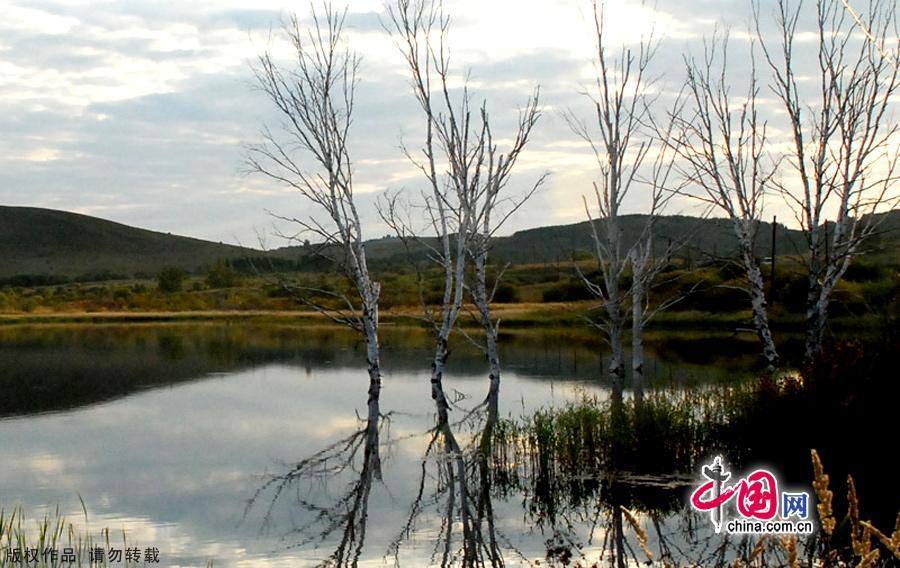 Водная красота в степи Сайханьба