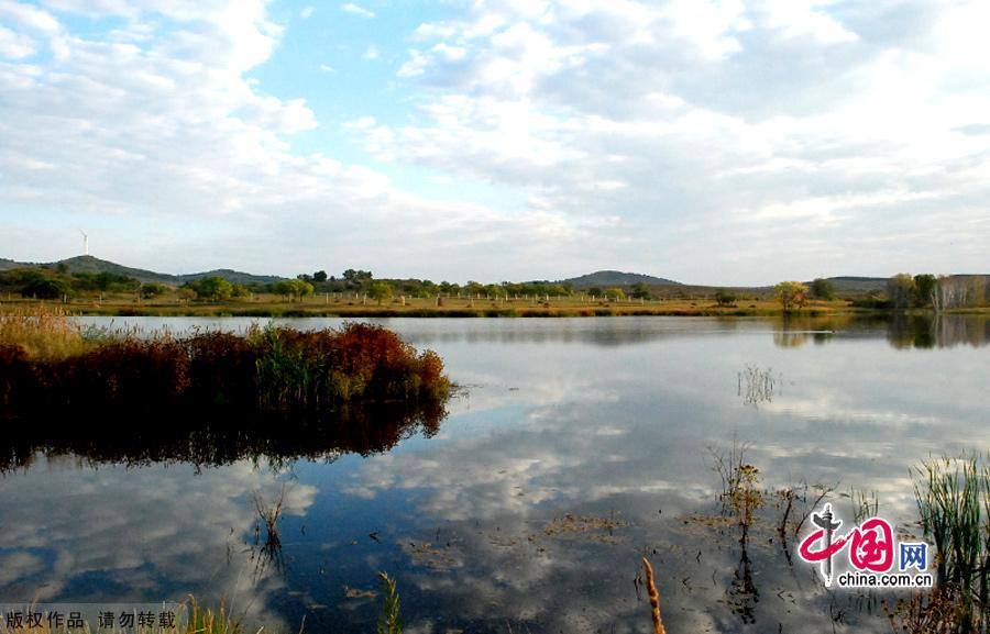 Водная красота в степи Сайханьба