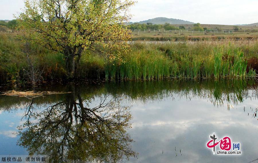 Водная красота в степи Сайханьба