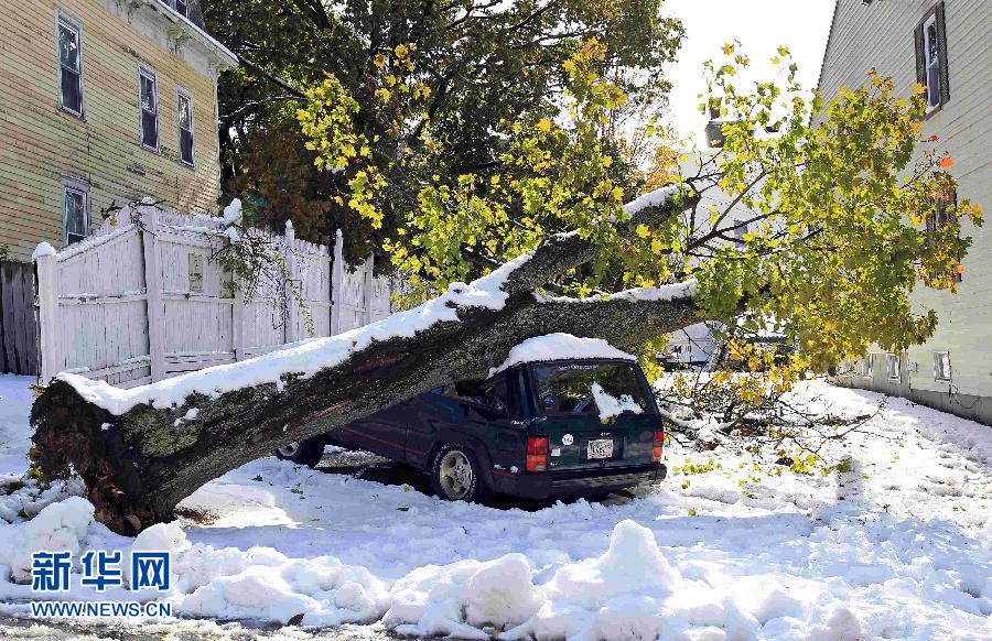 В результате сильного снегопада, обрушившегося 29 октября на восточные районы США, около 3 млн американцев остались без электричества, в некоторых районах для восстановления электроснабжения потребуется несколько дней. 