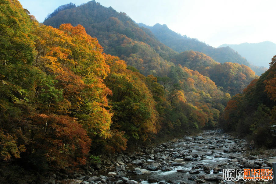Красные листья на горах Гуанъушань провинции Сычуань
