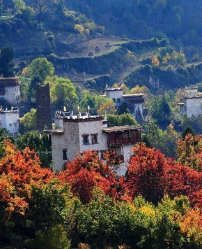 Очарование листьев в провинции Сычуань