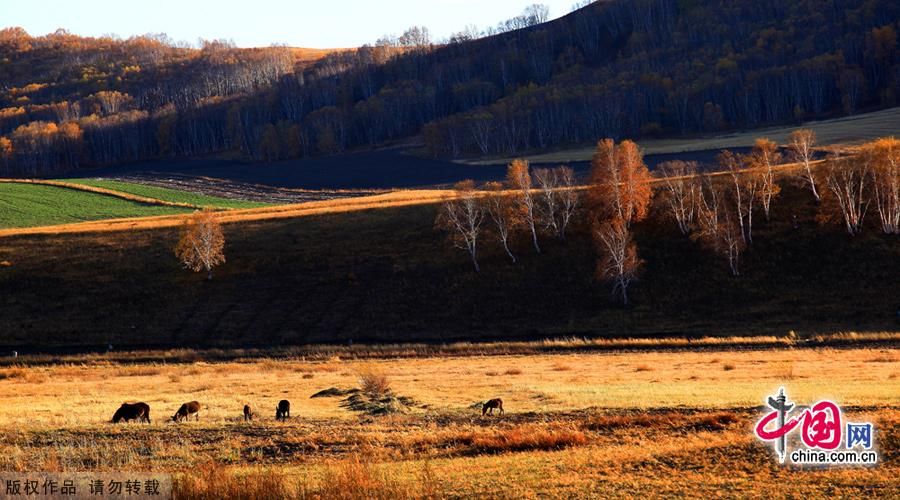 Поздняя осень в степи Сайханьба