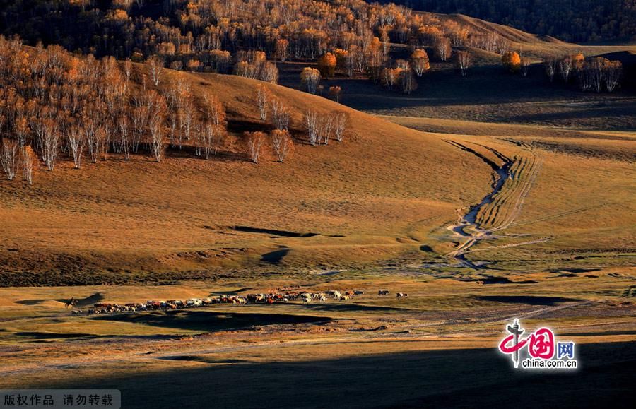 Поздняя осень в степи Сайханьба