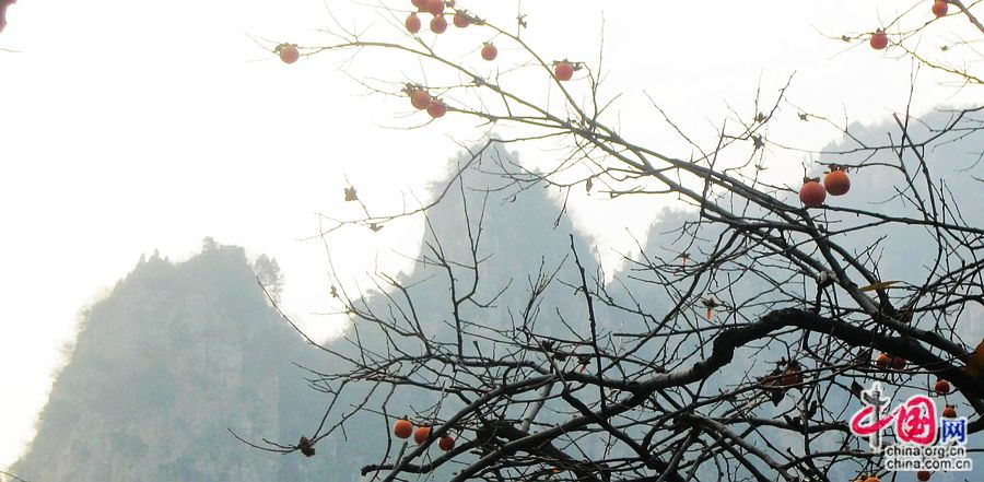 Необыкновенная красота в горах Юньтайшань провинции Хэнань 