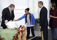 Накануне праздника День благодарения президент США Барак Обама 'помиловал' двух индюков