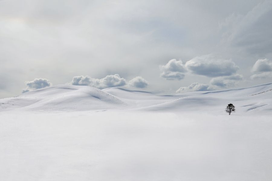 Лучшие работы фотоконкурса «Национальная география» 2011 г. 1