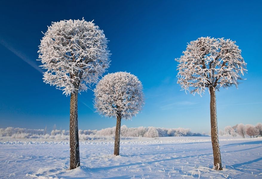 Лучшие работы фотоконкурса «Национальная география» 2011 г. 7