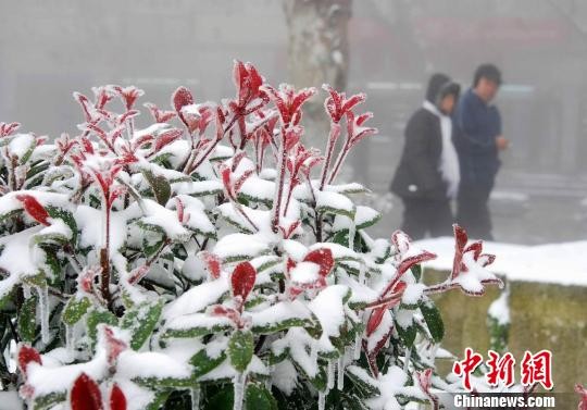 Гора Лушань в Цзянси встретила первый снег2
