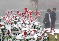 Гора Лушань в Цзянси встретила первый снег