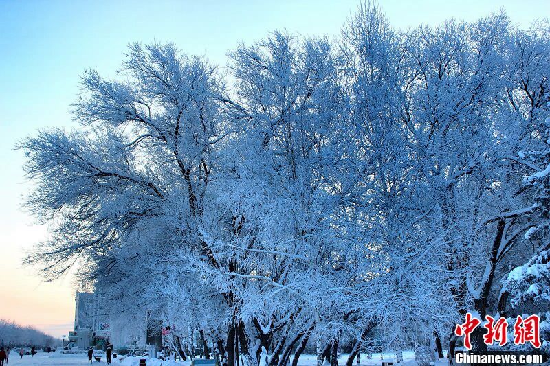 Сказочная изморозь в Синьцзяне после снегопада